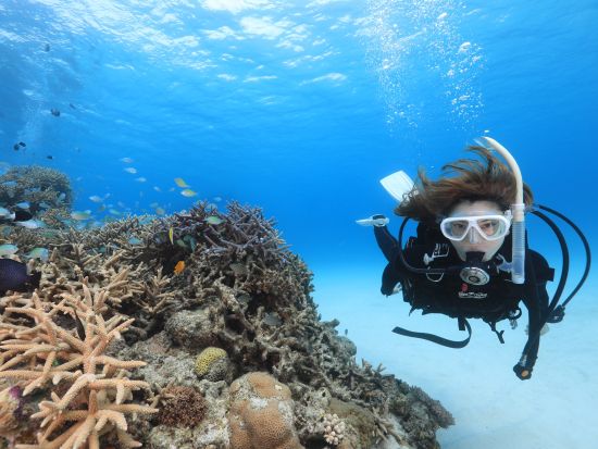 日帰りファンダイビング ライセンス保持者対象◎2ダイブでケラマブルーをとことん堪能＜ボートエントリー／約1時間30分／渡嘉敷島＞