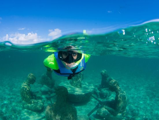カリブ海シュノーケリングツアー　プンタ・ニズックでサンゴ礁や色鮮やかな熱帯魚と泳ごう！ ＜英語／カンクン発＞