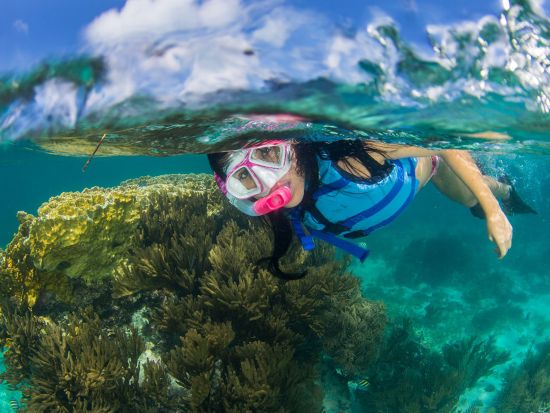 カリブ海シュノーケリングツアー　プンタ・ニズックでサンゴ礁や色鮮やかな熱帯魚と泳ごう！ ＜英語／カンクン発＞