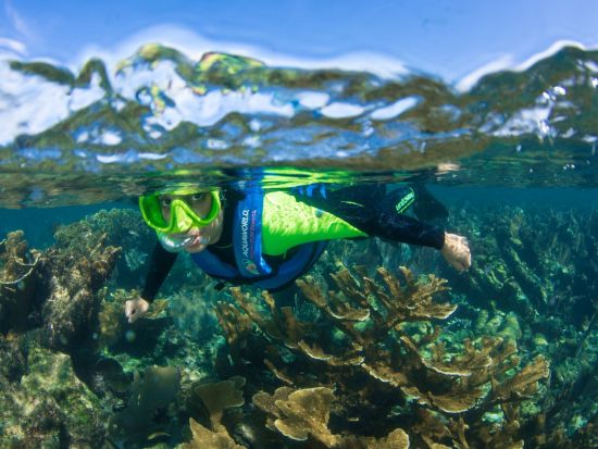 カリブ海シュノーケリングツアー　プンタ・ニズックでサンゴ礁や色鮮やかな熱帯魚と泳ごう！ ＜英語／カンクン発＞