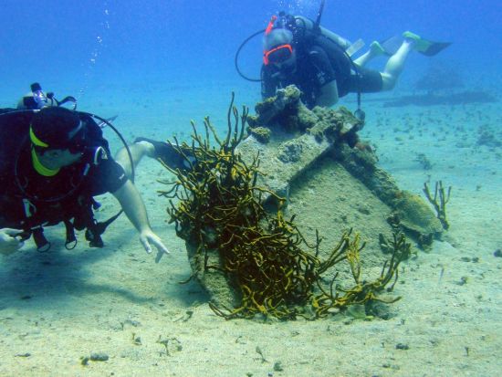 ファンダイビング　沈没船C-58「ジェネラルアナヤ号」やサンゴ礁が美しいスポットへご案内＜ボート／2ダイブ＞