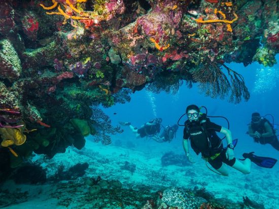 ファンダイビング　マンチョネスリーフ or MUSA水中美術館（海底美術館）へご案内＜ボート／1ダイブ＞