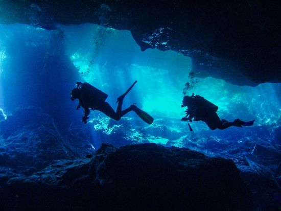 ファンダイビング　沈没船C-58「ジェネラルアナヤ号」やサンゴ礁が美しいスポットへご案内＜ボート／2ダイブ＞