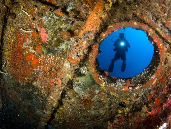 ファンダイビング　沈没船C-58「ジェネラルアナヤ号」やサンゴ礁が美しいスポットへご案内＜ボート／2ダイブ＞