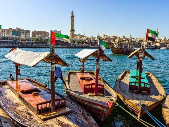 20230216044715_1441516517_15933_0