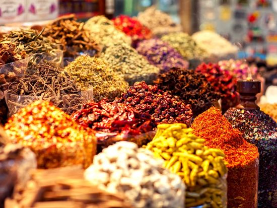 20230216050027_1949908510_15933_0