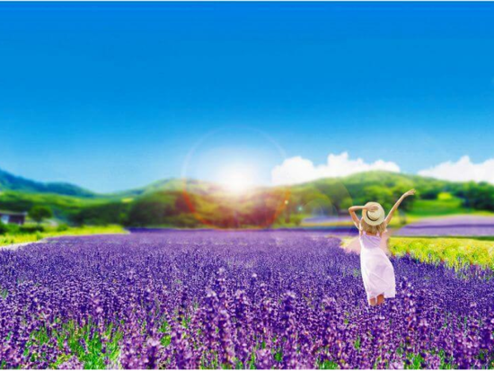 東京発日帰りバスツアー　群馬で旬のフルーツ狩り＆季節の絶景スポット巡り！ランチ付きで自然を満喫＜英語・中国語ガイド＞