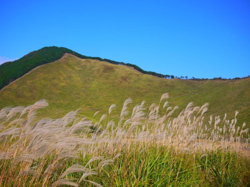 曽爾高原2