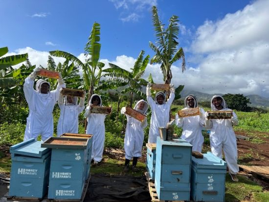 オアフ島ノースショア ハニーファーム見学ツアー　はちみつ試食付き ＜半日／英語ガイド＞