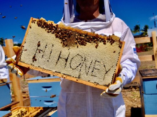 オアフ島ノースショア ハニーファーム見学ツアー　はちみつ試食付き ＜半日／英語ガイド＞