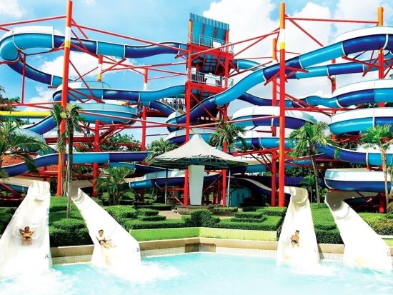 サイアムアメージングパーク 入場チケット事前予約 ＜ビュッフェランチ付き＞