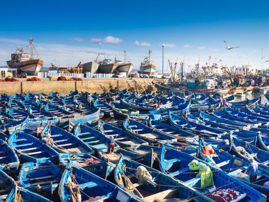 【空港送迎】エッサウィラ空港⇔エッサウィラ市内　貸切専用車で快適移動！＜1～5名／英語ドライバー＞*1台あたり料金
