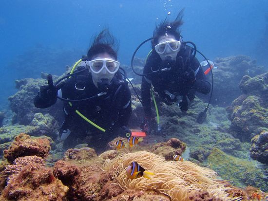 20210622014101_597578794_11436_0