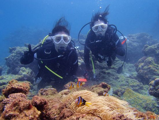 体験ダイビング半日ツアー　屋久島公認ガイド石原さんがご案内 360度カメラで撮影した記念写真付き ＜ビーチエントリー／1ダイブ＞ by aqua style