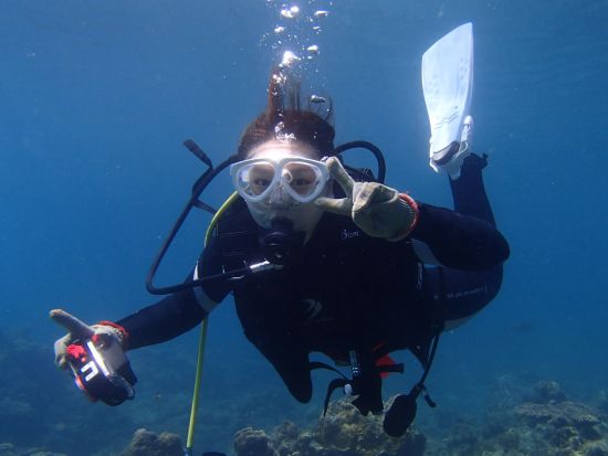 体験ダイビング半日ツアー　屋久島公認ガイド石原さんがご案内 360度カメラで撮影した記念写真付き ＜ビーチエントリー／1ダイブ＞ by aqua style
