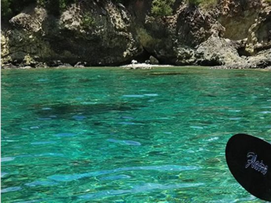 父島半日カヤックツアー 初心者でも安心！透き通った海に浮かび感動のひと時を体験＜午前 or 午後／小笠原諸島・父島発／1～6名＞