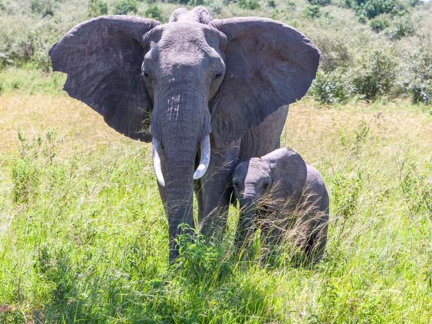 20240708063359_1542473685_1706