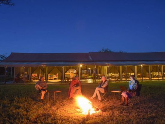 Thorn-tree-4939-705x470