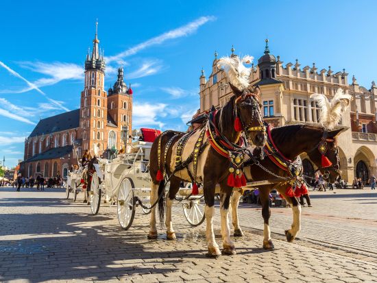 世界遺産クラクフ旧市街　ウォーキングツアー＜英語ガイド／クラクフ発＞