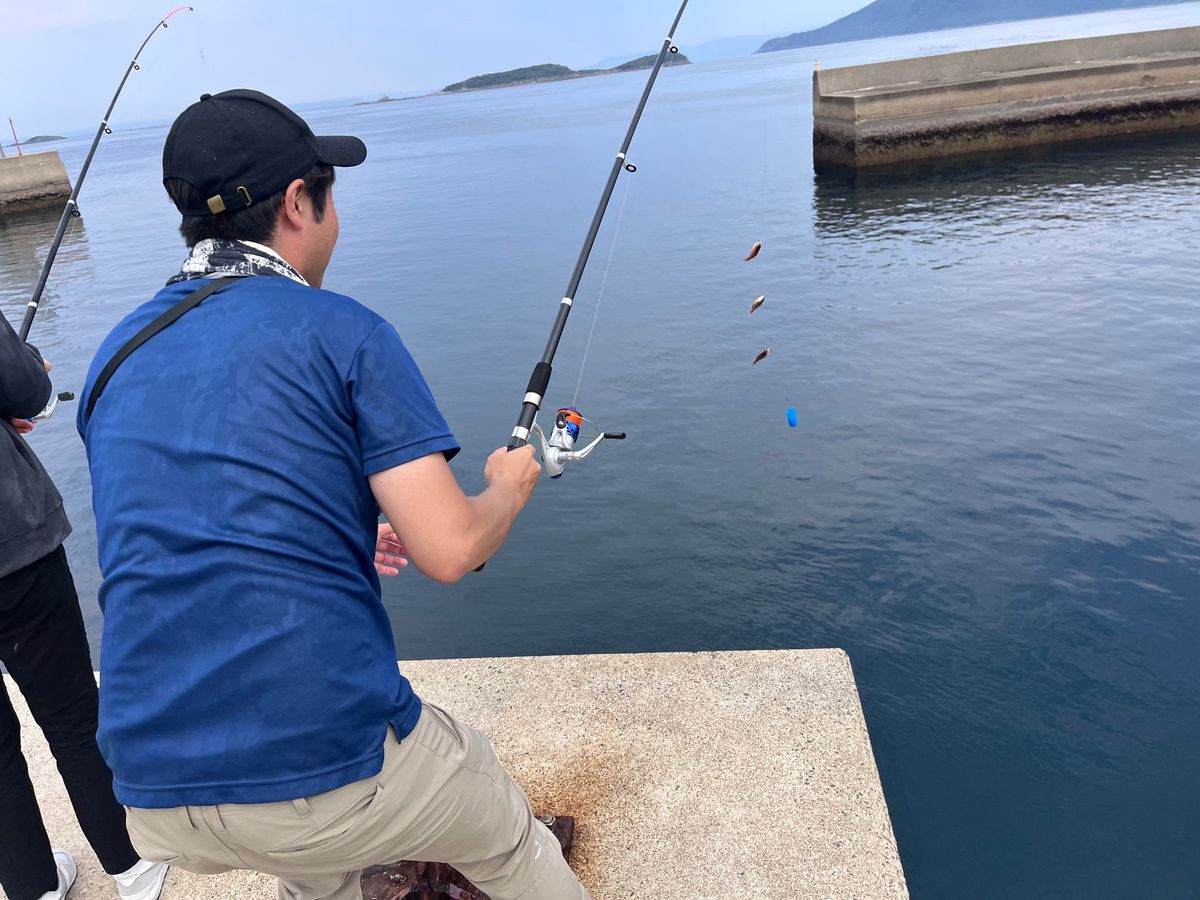 釣り体験 サビキ仕掛けで釣り放題！ 手ぶらで参加可能 1名参加OK ＜7月