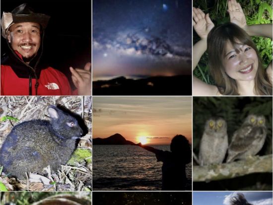 世界自然遺産・奄美大島・神秘の森クロウサギナイトツアー 遭遇率100％継続 満天の星空・夜の原生林・冒険ツアー！送迎可能＜住用町＞by奄美ネイチャーガイド