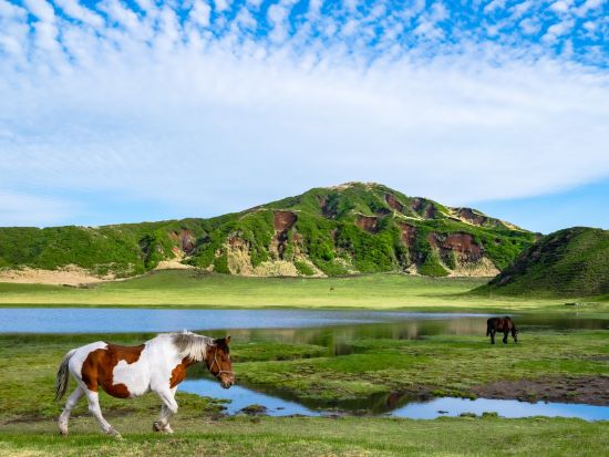 福岡発熊本日帰りバスツアー　熊本城＋草千里＋中岳＋道の駅阿蘇　自然と歴史を満喫する旅＜1日／博多発着＞