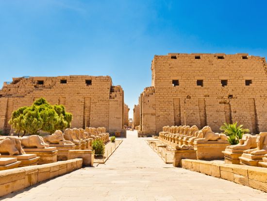 【ルクソール発 ナイル川クルーズ4泊5日】古代エジプトの遺跡を巡る優雅な船の旅　ルクソール東岸＆西岸＋エドフ＆コム・オンボ＋アスワン＜英語／アスワン着＞