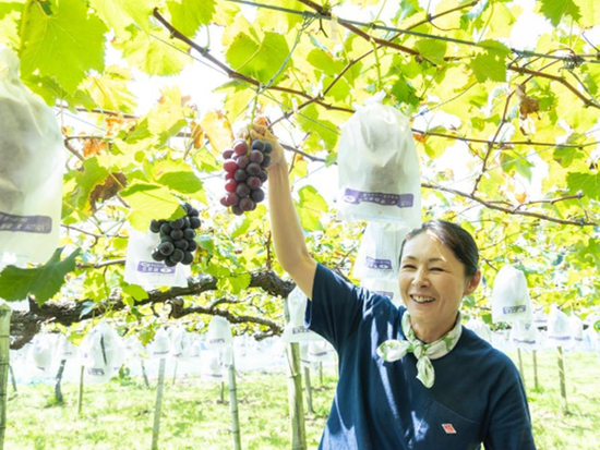 スクリーンショット 2024-07-09 154609