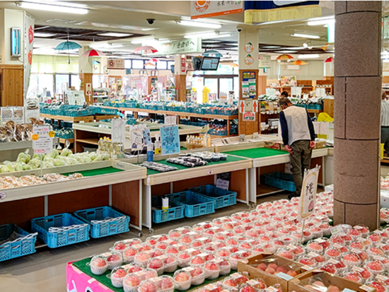 スクリーンショット 2024-07-09 154721