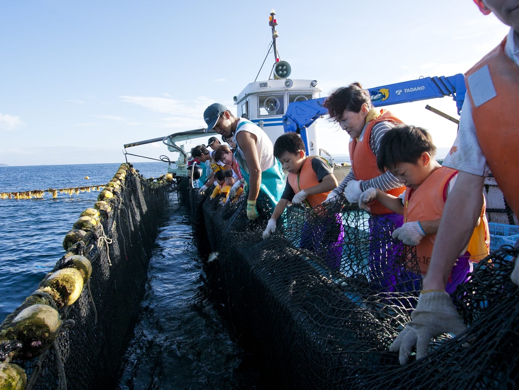 漁師体験ツアー 漁師船に乗って定置網漁に同行！捕れた魚を刺し身や焼き魚にして朝食にて実食 1名参加OK ＜約3時間／平戸市＞ by 平戸観光協会 |  佐世保・平戸・松浦の観光&遊び・体験・レジャー専門予約サイト VELTRA(ベルトラ)