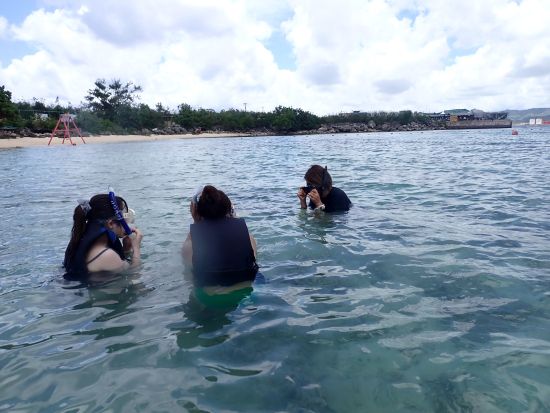 シュノーケリング＋マリンアクティビティ　パラセーリングやジェットスキーなどから選択可能＜日本語インストラクター／ホテル送迎付き＞by パンパシフィックダイバーズ