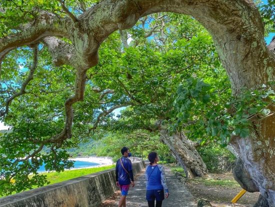 【ボート貸切】加計呂麻島ボートシュノーケリング＋島内観光 大自然を満喫してリフレッシュ＜2名～／約3時間／生間港発着＞ byカケロマアイランドリトリートハレハレ