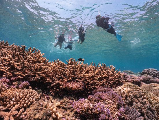 【ボート貸切】加計呂麻島ボートシュノーケリング＋島内観光 大自然を満喫してリフレッシュ＜2名～／約3時間／生間港発着＞ byカケロマアイランドリトリートハレハレ