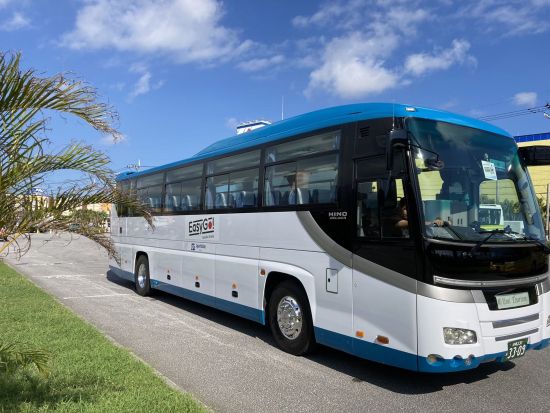 【中国語ガイドがご案内！】沖縄南部バスツアー ショッピングやグルメを堪能！魅力たっぷりの沖縄を気軽に楽しもう◎＜約10時間／那覇発＞