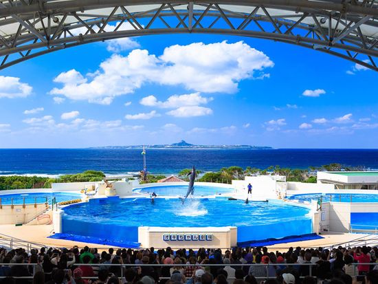 オキちゃん劇場