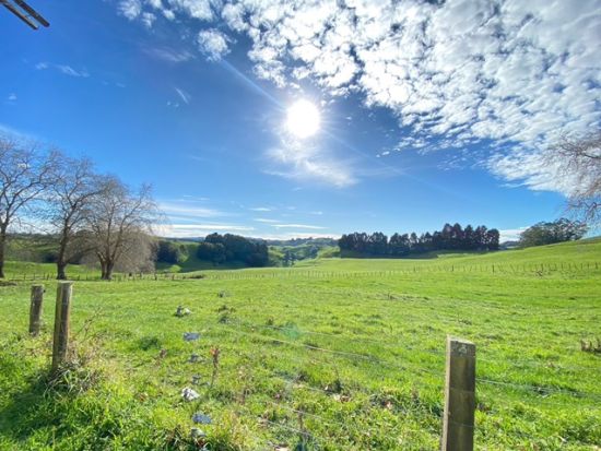 ワイトモ鍾乳洞探検1日ツアー　2つの洞窟「スペルバウンド＋スピリット洞窟」を訪問！土ボタルの写真撮影も可能♪＜日本語ガイド／オークランド発＞