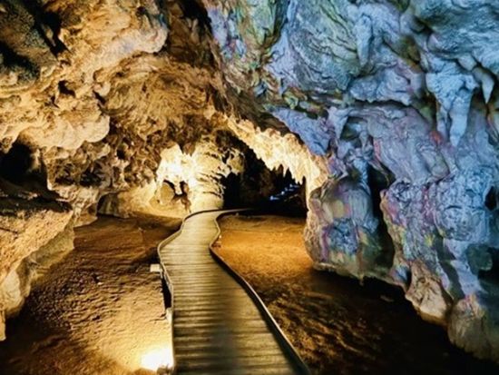 ワイトモ鍾乳洞探検1日ツアー　2つの洞窟「スペルバウンド＋スピリット洞窟」を訪問！土ボタルの写真撮影も可能♪＜日本語ガイド／オークランド発＞