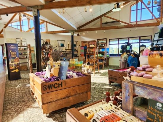 ワイトモ鍾乳洞探検1日ツアー　2つの洞窟「スペルバウンド＋スピリット洞窟」を訪問！土ボタルの写真撮影も可能♪＜日本語ガイド／オークランド発＞