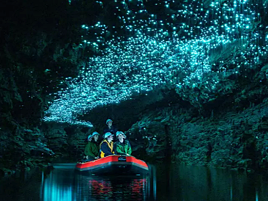 ワイトモ鍾乳洞探検1日ツアー　2つの洞窟「スペルバウンド＋スピリット洞窟」を訪問！土ボタルの写真撮影も可能♪＜日本語ガイド／オークランド発＞
