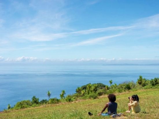 ティリティリマタンギ島1日ツアー　野鳥の楽園でバードウォッチングとハイキングを満喫！＜日本語ガイド／オークランド発＞