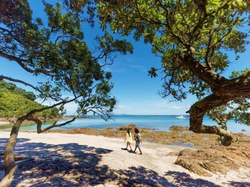 550859-tiritiri-matangi-island-auckland-web-1920