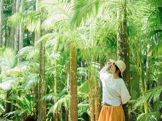 【中国語ガイドがご案内！】沖縄中部バスツアー グルメ・観光・ショッピング 沖縄のイイところをギュッと凝縮！嬉しい贅沢ランチ付＜約10時間／那覇発＞