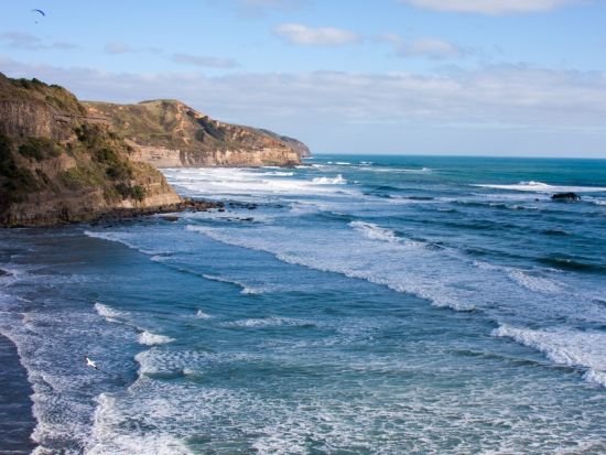 西オークランドワイナリーめぐり　クメウ地区のワイナリ―＆ブリューワリー＋タスマン海を観賞できるムリワイビーチを訪問！＜昼食付／日本語ガイド／オークランド発＞