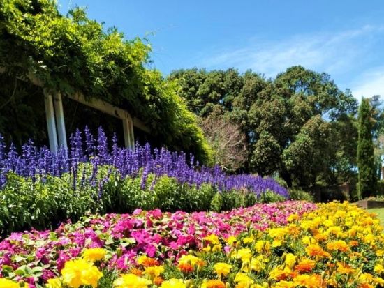 【空港送迎】オークランド空港 ⇒ ロトルア市内　ロトルア市内の観光地も簡単にご案内 ＜日本語ガイド＞