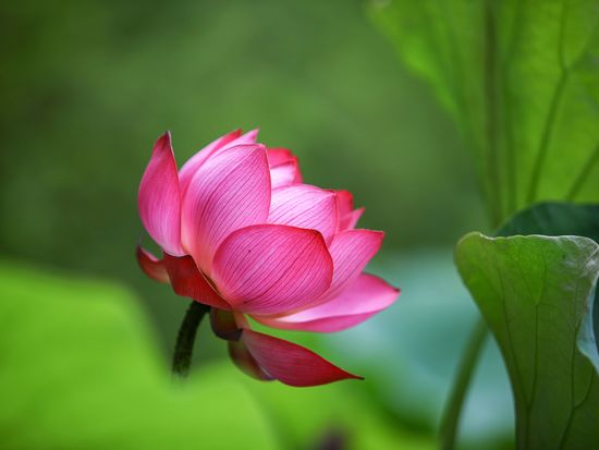 HQJ8N_f0458079-f6ce-4f95-9359-e5