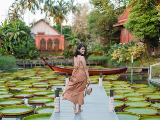 プーケット島半日観光ツアー　象乗り体験＋話題の蓮カフェ＋プーケットタウンを満喫 ＜午前／貸切／日本語ガイド＞