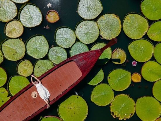 プーケット島半日観光ツアー　象乗り体験＋話題の蓮カフェ＋プーケットタウンを満喫 ＜午前／貸切／日本語ガイド＞