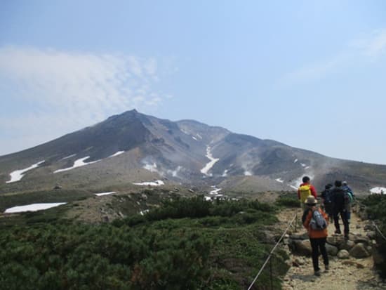 タクシープラン ロープウェイを利用して北海道最高峰「旭岳」の山頂駅へ。小さくてたくましい高山植物たちを見に行こう！＜6時間／東川町＞