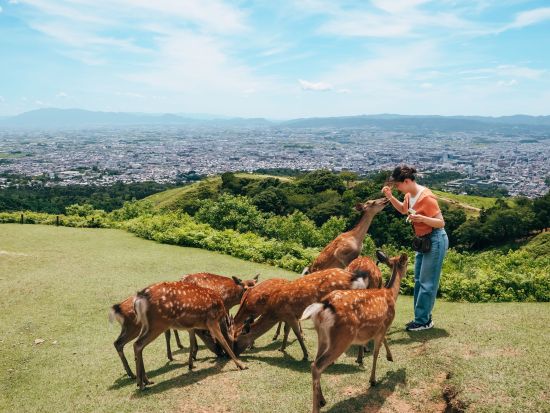 【多言語ツアー】パーフェクト奈良公園ツアー 東大寺＋春日大社＋若草山へご案内＜英語ガイド／午後／奈良＞