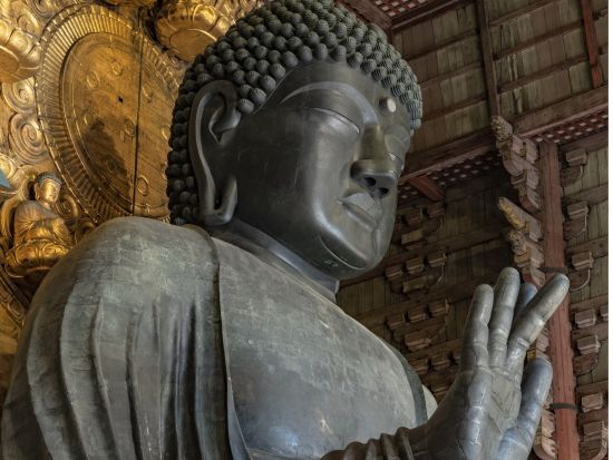 【多言語ツアー】パーフェクト奈良公園ツアー 東大寺＋春日大社＋若草山へご案内＜英語ガイド／午後／奈良＞